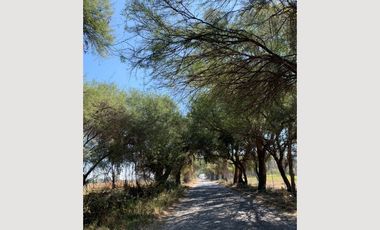 EXCELENTES TERRENOS EN VENTA EN CHAPALA