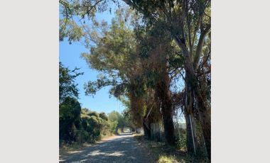 EXCELENTES TERRENOS EN VENTA EN CHAPALA