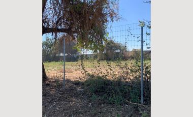 EXCELENTES TERRENOS EN VENTA EN CHAPALA