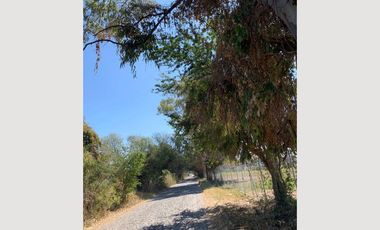 EXCELENTES TERRENOS EN VENTA EN CHAPALA