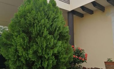 Venta de casa en Privada Santa Cruz, Conkal