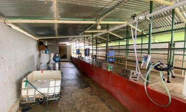 SE VENDE FINCA EN TOCA VEREDA CENTRO ABAJO