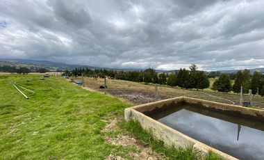 SE VENDE FINCA EN TOCA VEREDA CENTRO ABAJO