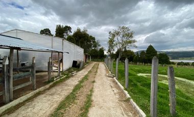 SE VENDE FINCA EN TOCA VEREDA CENTRO ABAJO