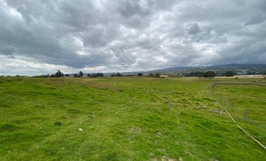 SE VENDE FINCA EN TOCA VEREDA CENTRO ABAJO