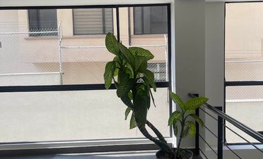 RENTO DEPARTAMENTO URBANIZACION VISTA GRANDE