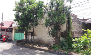 4BR HOUSE AND LOT FOR SALE IN JOSEFA VILLAGE, TANAUAN CITY, BATANGAS