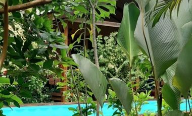 Operating bed and breakfast with lot of greens in the heart of Puerto Princesa, Palawan