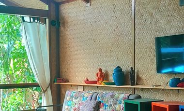 Operating bed and breakfast with lot of greens in the heart of Puerto Princesa, Palawan