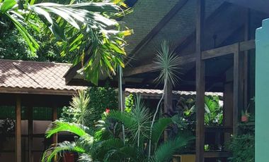 Operating bed and breakfast with lot of greens in the heart of Puerto Princesa, Palawan