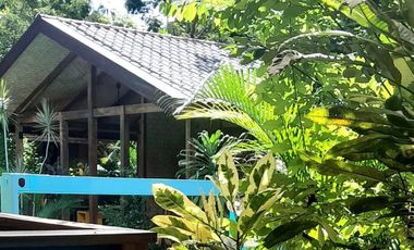 Operating bed and breakfast with lot of greens in the heart of Puerto Princesa, Palawan