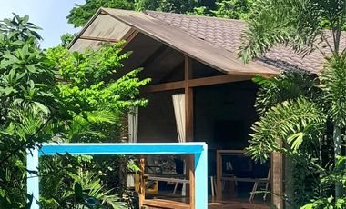 Operating bed and breakfast with lot of greens in the heart of Puerto Princesa, Palawan