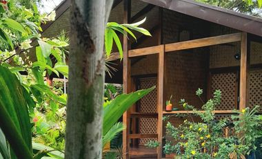 Operating bed and breakfast with lot of greens in the heart of Puerto Princesa, Palawan