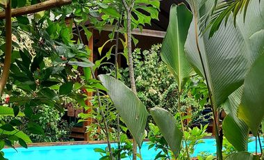 Operating bed and breakfast with lot of greens in the heart of Puerto Princesa, Palawan