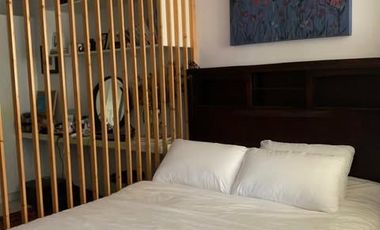Studio Type Condo Unit for Rent in Mandurriao Garden Residences, Iloilo City