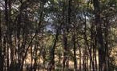 CABAÑA EN VENTA ARTEAGA, COAHUILA