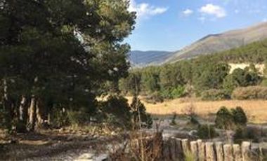 CABAÑA EN VENTA ARTEAGA, COAHUILA