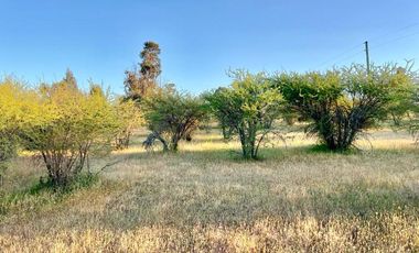 ADQUIERE TU PARCELA POR 220 UF EN EL MAITEN, HERMOSOS LOTES DE 5000 MTS