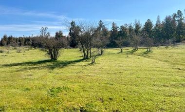 ADQUIERE TU PARCELA POR 220 UF EN EL MAITEN, HERMOSOS LOTES DE 5000 MTS