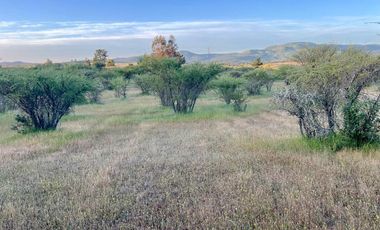 ADQUIERE TU PARCELA POR 220 UF EN EL MAITEN, HERMOSOS LOTES DE 5000 MTS