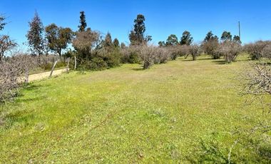 ADQUIERE TU PARCELA POR 220 UF EN EL MAITEN, HERMOSOS LOTES DE 5000 MTS