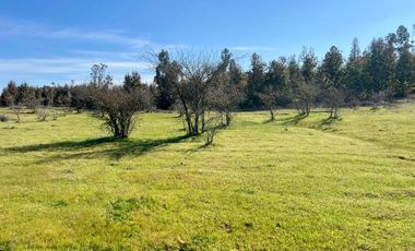 ADQUIERE TU PARCELA POR 220 UF EN EL MAITEN, HERMOSOS LOTES DE 5000 MTS