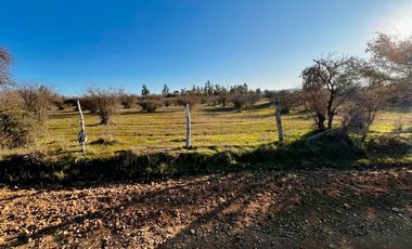 ADQUIERE TU PARCELA POR 220 UF EN EL MAITEN, HERMOSOS LOTES DE 5000 MTS