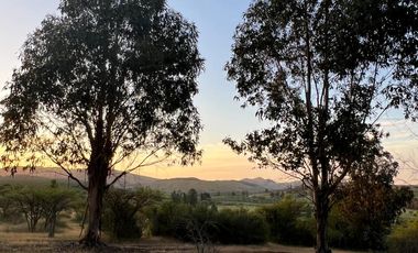 ADQUIERE TU PARCELA POR 220 UF EN EL MAITEN, HERMOSOS LOTES DE 5000 MTS