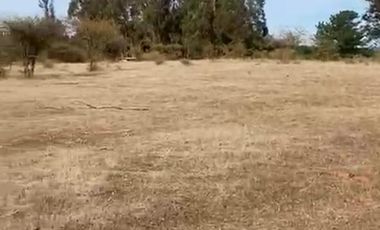 ADQUIERE TU PARCELA POR 220 UF EN EL MAITEN, HERMOSOS LOTES DE 5000 MTS