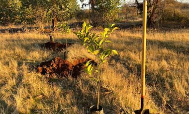 ADQUIERE TU PARCELA POR 220 UF EN EL MAITEN, HERMOSOS LOTES DE 5000 MTS
