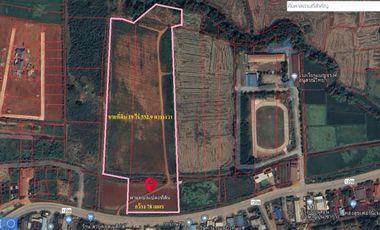 Land for sale 19 rai 332 square wa, Road 1209, Nang Lae, Mueang, Chiang Rai.