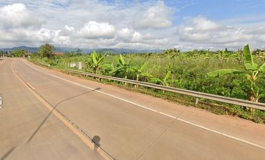 Land for sale 19 rai 332 square wa, Road 1209, Nang Lae, Mueang, Chiang Rai.