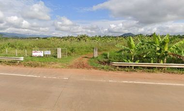 Land for sale 19 rai 332 square wa, Road 1209, Nang Lae, Mueang, Chiang Rai.