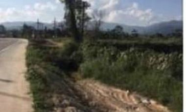 Land for sale 19 rai 332 square wa, Road 1209, Nang Lae, Mueang, Chiang Rai.
