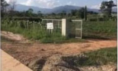 Land for sale 19 rai 332 square wa, Road 1209, Nang Lae, Mueang, Chiang Rai.