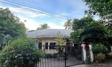 House&lot For Sale In Negros Oriental