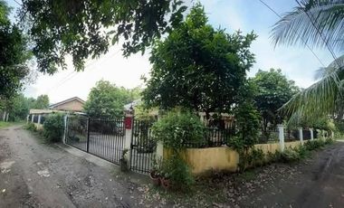 House&lot For Sale In Negros Oriental