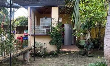 House&lot For Sale In Negros Oriental