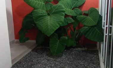 INVIERTE EN TU PATRIMONIO EN ESTA MODERNA CASA BIEN ILUMINADA.