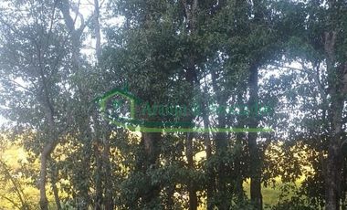 VENDEMOS LOTE EN LA VEREDA GUAVINAL DE GIRARDOT