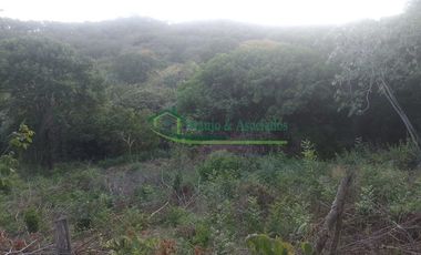 VENDEMOS LOTE EN LA VEREDA GUAVINAL DE GIRARDOT