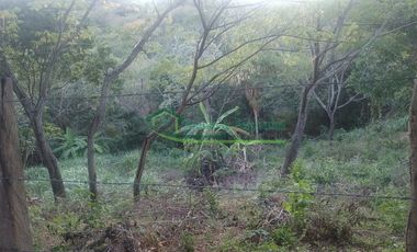 VENDEMOS LOTE EN LA VEREDA GUAVINAL DE GIRARDOT