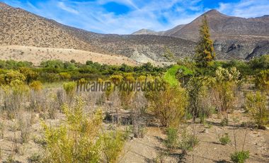 Gran terreno de 32 hectáreas con orilla de río y 4 acciones de agua, Río Hurtado. $280 millones