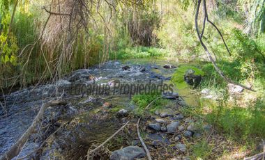 Gran terreno de 32 hectáreas con orilla de río y 4 acciones de agua, Río Hurtado. $280 millones
