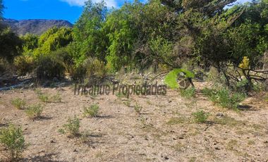 Gran terreno de 32 hectáreas con orilla de río y 4 acciones de agua, Río Hurtado. $280 millones