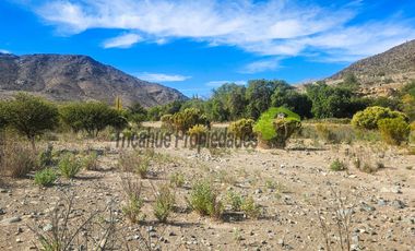 Gran terreno de 32 hectáreas con orilla de río y 4 acciones de agua, Río Hurtado. $280 millones