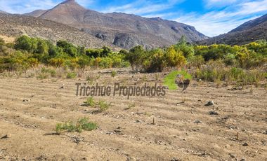 Gran terreno de 32 hectáreas con orilla de río y 4 acciones de agua, Río Hurtado. $280 millones