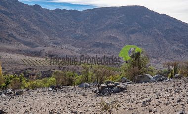 Gran terreno de 32 hectáreas con orilla de río y 4 acciones de agua, Río Hurtado. $280 millones