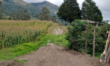 Vendo 3 hectáreas en Cuicocha
