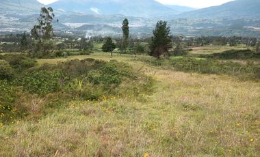 Vendo 3 hectáreas en Cuicocha